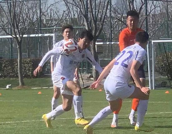 绿野仙踪林视频入口欢迎您