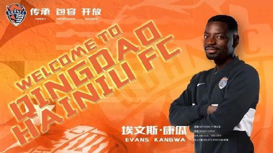 精品一区二区久久久久久久网精