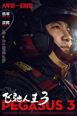 国产一区二区大片在线观看