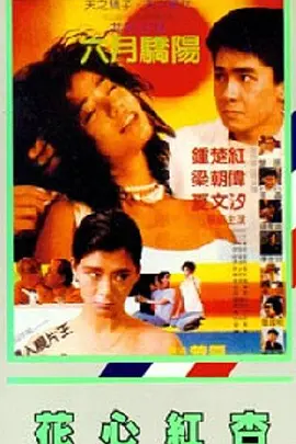 成人区精品一区二区毛片不卡