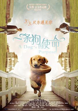 偷窃的兼职女