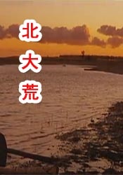 金瓶之爱奴1在线播放2009年