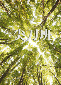欧美独立一区二区