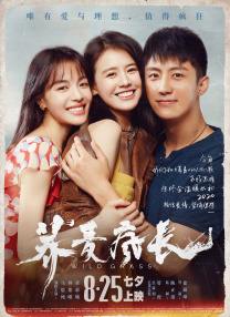 一区二区视频在线免费观看