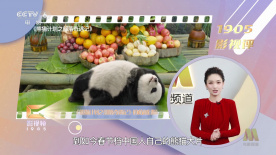 欧美亚洲另类一区中文字幕
